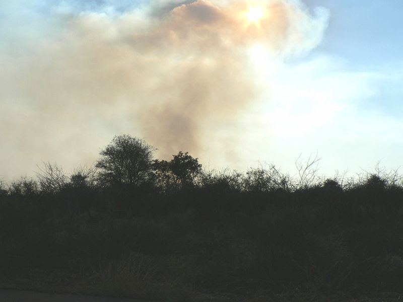 JAR 303.JPG - Pomalu jsme se přibližovali k jižnímu kempu a už z dálky pozorovali hořící les. Jak jistě tušíte, zde žádní hasiči nefungují a park je ponechán svému osudu. V období sucha je vše vyprahlé, tudíž se oheň šíří rychle. Naštěstí ohniště ohraničila z jedné strany silnice a z druhé řeka.